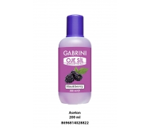 GABRINI ASETON 200 ML (BÖĞÜRTLEN)